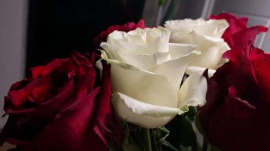 Pembe güllerin büyüleyici güzelliğine yakından hayranlık duyun. Hassas taç yaprakları ve parlak renkleri sığ bir alan derinliği ve koyu bir arkaplan üzerine vurgulanmış..