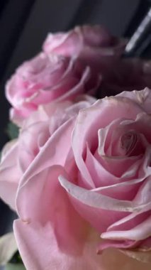 Pembe güllerin büyüleyici güzelliğine yakından hayranlık duyun. Hassas taç yaprakları ve parlak renkleri sığ bir alan derinliği ve koyu bir arkaplan üzerine vurgulanmış..