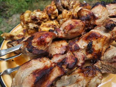 Izgara Kebap 'ın Yakın Çekimi