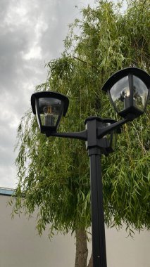 Açık sokak sahnesinde iki ışık kaynağına sahip uzun bir siyah lamba direği, çağlayan dalları olan yapraklı bir ağacın yanında duruyor. Arka planda, temiz beyaz bir duvar yeşilliğe zıtlık sağlar. Tabanda, küçük çimenli bir alan ve asfalt.
