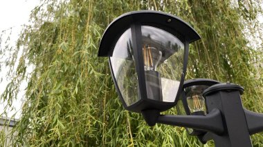 Metal direkli ve entegre ışıklandırmalı modern kentsel sokak lambası, yeşil yeşillik bir zemin ve çağdaş bir konut binasına karşı çekilmiş. Kompozisyon, kentsel altyapı, doğa ve