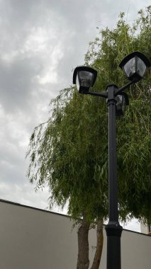 Açık sokak sahnesinde iki ışık kaynağına sahip uzun bir siyah lamba direği, çağlayan dalları olan yapraklı bir ağacın yanında duruyor. Arka planda, temiz beyaz bir duvar yeşilliğe zıtlık sağlar. Tabanda, küçük çimenli bir alan ve asfalt.