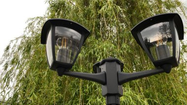 Açık sokak sahnesinde iki ışık kaynağına sahip uzun bir siyah lamba direği, çağlayan dalları olan yapraklı bir ağacın yanında duruyor. Arka planda, temiz beyaz bir duvar yeşilliğe zıtlık sağlar. Tabanda, küçük çimenli bir alan ve asfalt.