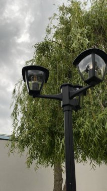 Açık sokak sahnesinde iki ışık kaynağına sahip uzun bir siyah lamba direği, çağlayan dalları olan yapraklı bir ağacın yanında duruyor. Arka planda, temiz beyaz bir duvar yeşilliğe zıtlık sağlar. Tabanda, küçük çimenli bir alan ve asfalt.