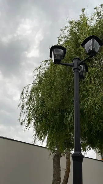 Açık sokak sahnesinde iki ışık kaynağına sahip uzun bir siyah lamba direği, çağlayan dalları olan yapraklı bir ağacın yanında duruyor. Arka planda, temiz beyaz bir duvar yeşilliğe zıtlık sağlar. Tabanda, küçük çimenli bir alan ve asfalt.