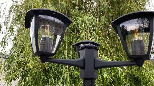 Açık sokak sahnesinde iki ışık kaynağına sahip uzun bir siyah lamba direği, çağlayan dalları olan yapraklı bir ağacın yanında duruyor. Arka planda, temiz beyaz bir duvar yeşilliğe zıtlık sağlar. Tabanda, küçük çimenli bir alan ve asfalt.