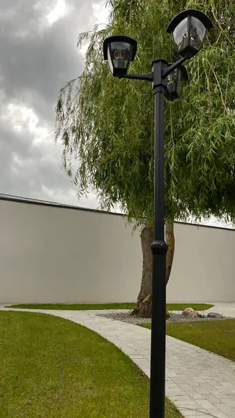 Açık sokak sahnesinde iki ışık kaynağına sahip uzun bir siyah lamba direği, çağlayan dalları olan yapraklı bir ağacın yanında duruyor. Arka planda, temiz beyaz bir duvar yeşilliğe zıtlık sağlar. Tabanda, küçük çimenli bir alan ve asfalt.