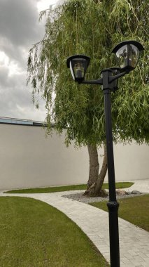 Açık sokak sahnesinde iki ışık kaynağına sahip uzun bir siyah lamba direği, çağlayan dalları olan yapraklı bir ağacın yanında duruyor. Arka planda, temiz beyaz bir duvar yeşilliğe zıtlık sağlar. Tabanda, küçük çimenli bir alan ve asfalt.