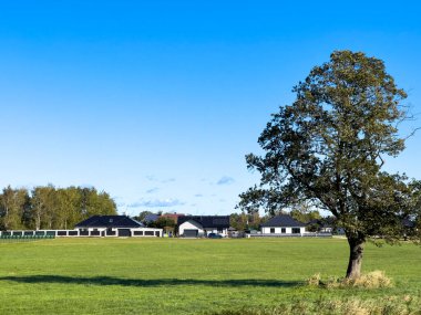 Yeşil alanda tek bir ağaçla görülen modern banliyö evlerinin uzak bir görüntüsü. Boşluk olarak açık mavi gökyüzü.