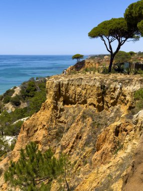 Portekiz 'in Albufeira bölgesine sahil ulaşımı. Olhos de Agua kasabası. Etkileyici uçurumlar ve insan ahşap yol yaptı..
