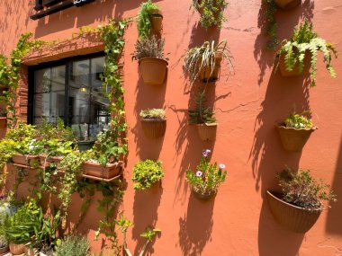 Albufeira, Portekiz, 26 Haziran 2024 - Dekoratif kaplar ve çiçek süslemeleriyle Il Terazzo restoranının cephesi. 