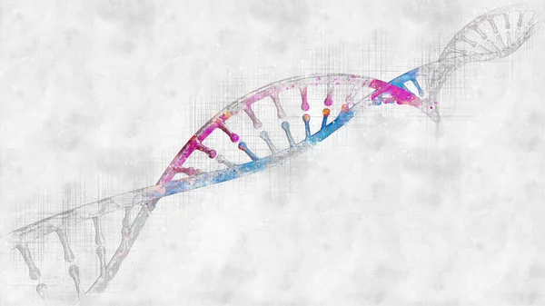 Dnaヘリックス コンピュータ解析とテスト 生物の成長に使用される遺伝的指示 3Dレンダリング ホログラムX線ビュー 新しい遺伝学的発見 スケッチ — ストック写真