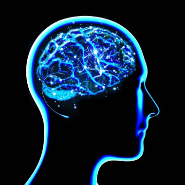 Profilde görünen bir beyin parçası, beynin bazı kısımları. Dejeneratif hastalıklar, Parkinson, sinapslar, nöronlar, Alzheimer. İnsan anatomisi, beyin taraması. 3d hazırlayıcı