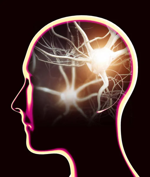 Část Mozku Viděná Profilu Části Mozku Degenerativní Nemoci Parkinson Synapse — Stock fotografie