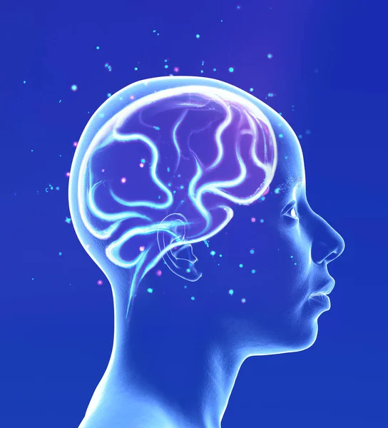 Neurologia Filozofia Powiązania Rozwój Myśli Refleksji Nieskończone Możliwości Mózgu Umysłu — Zdjęcie stockowe