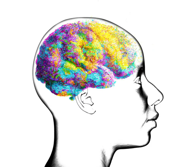 Neurologie Filosofie Conexiuni Dezvoltarea Gândirii Reflecției Posibilitățile Infinite Ale Creierului — Fotografie, imagine de stoc