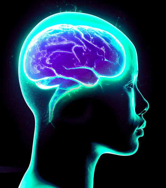 Neurologia Filosofia Conexões Desenvolvimento Pensamento Reflexão Infinitas Possibilidades Cérebro Mente — Fotografia de Stock