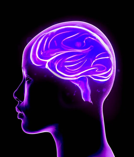 Неврологія Філософія Язки Розвиток Думки Відображення Нескінченні Можливості Мозку Розуму — стокове фото