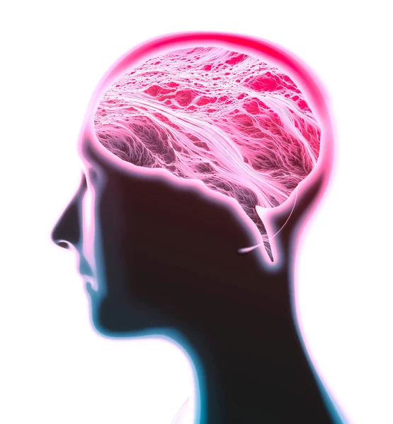Neurologie Philosophie Médecine Futur Connexions Neuronales Développement Pensée Réflexion Comment — Photo