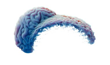 Hafıza kayıpları, bazı şeyleri unutmak, dejeneratif hastalıklar. Beyin sorunları. Parkinson ve Alzheimer hastalığı. Akıl sağlığı. Felç, sinapslar ve nöronlar etkileşime girer. 3d oluşturma