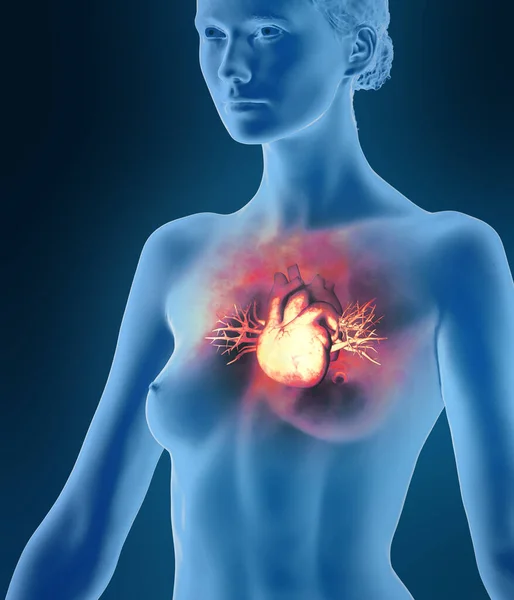 Анатомічне Дослідження Серця Серцеві Проблеми Серцевий Напад Хірургія Візуалізація Силует — стокове фото