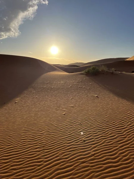 Дюны Пустыне Сахара Пустыня Мерзуга Песчинки Образующие Небольшие Волны Дюнах — стоковое фото