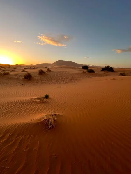 Dünen Der Sahara Wüste Merzouga Sandkörner Die Kleine Wellen Auf — Stockfoto