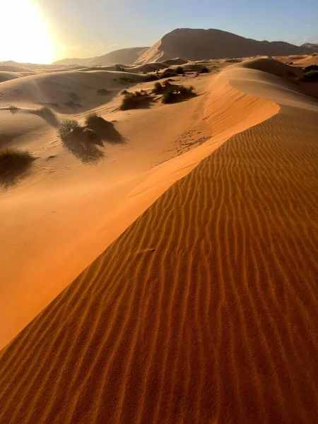 Дюни Пустелі Сахара Пустеля Мерзуга Піщинки Формують Невеликі Хвилі Дюнах — стокове фото