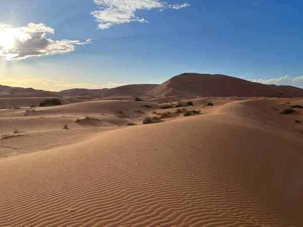 사하라사막의 알갱이들 언덕에 파도를 만들어 파노라마같은 풍경을 보여준다 일출을 모로코 — 스톡 사진