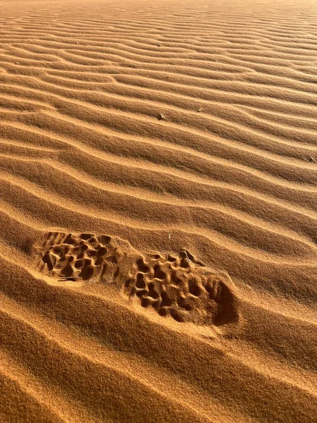 在撒哈拉沙漠的沙丘上有鞋印 Merzouga 沙丘上形成小波纹的沙粒 日落了摩洛哥 — 图库照片