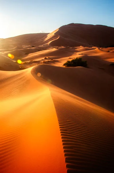 撒哈拉沙漠中的沙丘 Merzouga沙漠 沙丘上形成小波浪的沙粒 全景尽收眼底 日落了摩洛哥 客观镜片上的太阳反射 — 图库照片