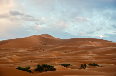 Sahra Çölü 'ndeki kum tepeleri, Merzouga Çölü, kum tepelerinde küçük dalgalar oluşturan kum taneleri, panoramik manzara. Güneş batıyor. Fas
