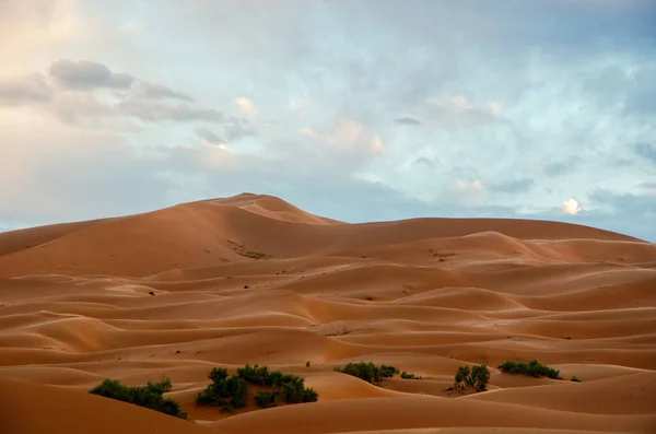 사하라사막의 알갱이들 언덕에 파도를 만들어 파노라마같은 풍경을 보여준다 일출을 모로코 — 스톡 사진