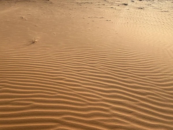 Zandkorrels Die Kleine Golven Vormen Duinen Panoramisch Uitzicht Achtergrond Textuur — Stockfoto