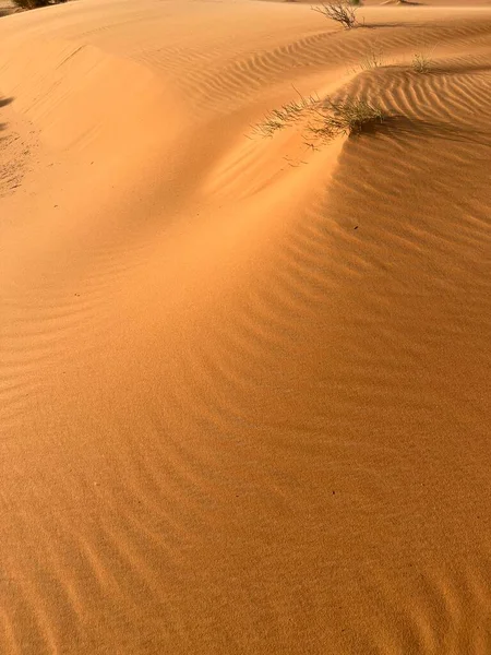 沙丘上形成小波浪的沙粒 全景尽收眼底 撒哈拉沙漠中的沙丘 Merzouga沙漠 — 图库照片