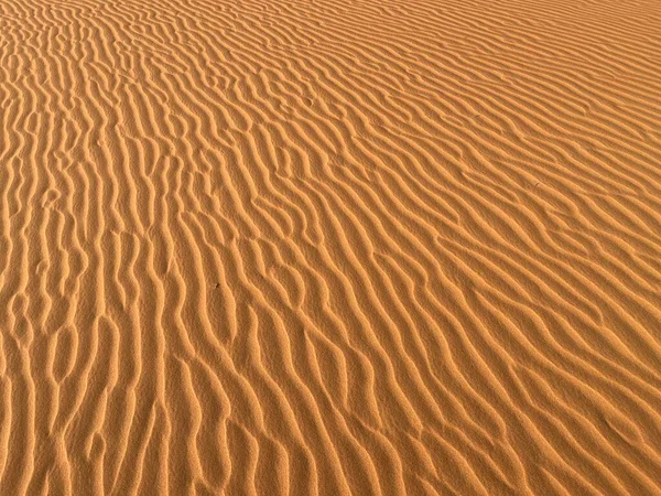 沙丘上形成小波浪的沙粒 全景尽收眼底 撒哈拉沙漠中的沙丘 Merzouga沙漠 — 图库照片