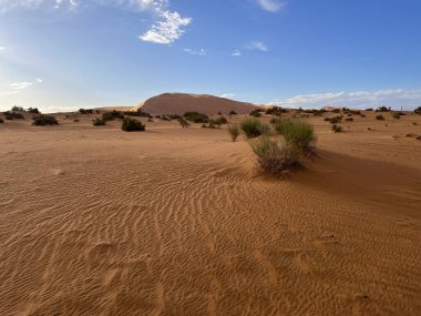 Merzouga, Erg Chebbi dunes, Morocco, Africa: details of a sand dune in the Sahara desert, grains of sand forming geometric patterns and small waves due to the wind on the beautiful dunes at sunset