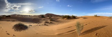 Merzouga, Erg Chebbi dunes, Morocco, Africa: panoramic view of the dunes in the Sahara desert, grains of sand forming small waves on the beautiful dunes at sunset 