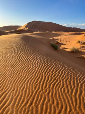 Merzouga, Fas, Afrika, Sahra Çölü 'ndeki kumulların panoramik görüntüsü, gün batımındaki güzel kum tepelerinde küçük dalgalar oluşturan kum taneleri. 