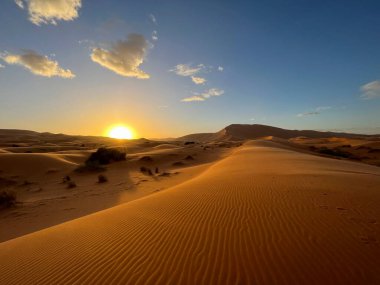 Merzouga, Erg Chebbi dunes, Morocco, Africa, panoramic view of the dunes in the Sahara desert, grains of sand forming small waves on the beautiful dunes at sunset 