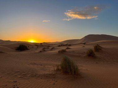 Merzouga, Erg Chebbi dunes, Morocco, Africa, panoramic view of the dunes in the Sahara desert, grains of sand forming small waves on the beautiful dunes at sunset 