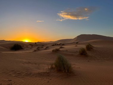 Merzouga, Erg Chebbi dunes, Morocco, Africa, panoramic view of the dunes in the Sahara desert, grains of sand forming small waves on the beautiful dunes at sunset 