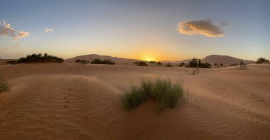 Merzouga, Erg Chebbi dunes, Morocco, Africa, panoramic view of the dunes in the Sahara desert, grains of sand forming small waves on the beautiful dunes at sunset 
