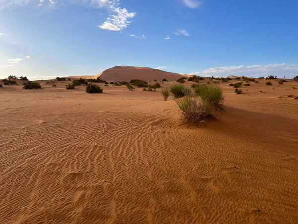 Merzouga Erg Chebbi Dunes Morocco Africa Details Sand Dune Sahara —  Fotos de Stock