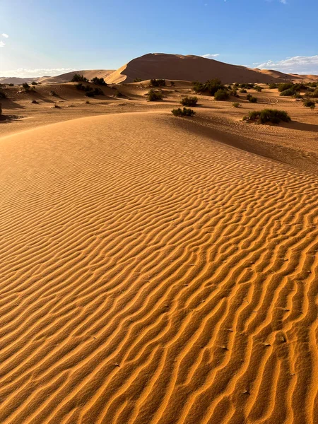 Merzouga Erg Chebbi Dunes Morocco Africa Details Sand Dune Sahara — Fotografia de Stock