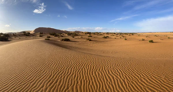 Merzouga Erg Chebbi Dunes Morocco Africa Panoramic View Dunes Sahara — стокове фото