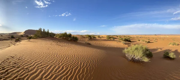 Merzouga Erg Chebbi Dunes Morocco Africa Panoramic View Dunes Sahara — стокове фото