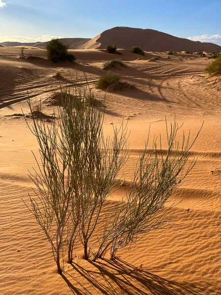 Merzouga Erg Chebbi Dunes Morocco Africa Details Sand Dune Sahara — Stok fotoğraf