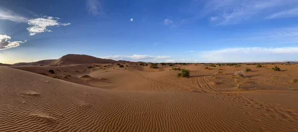 Merzouga Erg Chebbi Dunes Morocco Africa Panoramic View Dunes Sahara — Foto de Stock