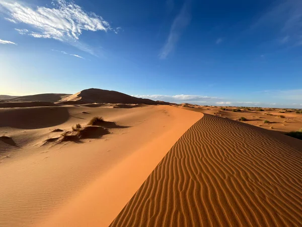 Merzouga Erg Chebbi Dunes Morocco Africa Panoramic View Dunes Sahara —  Fotos de Stock